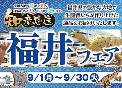 福井フェア