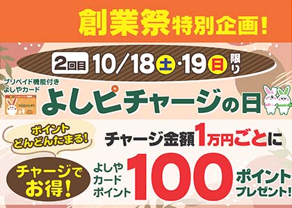 よしピチャージの日