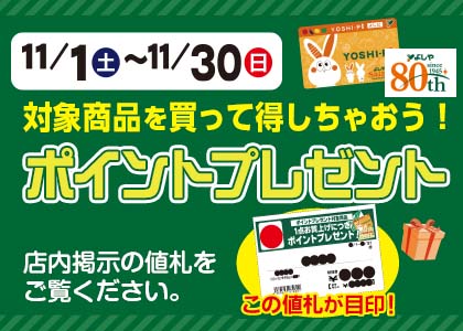 11月のポイントプレゼント
