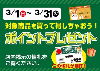 3月のポイントプレゼント